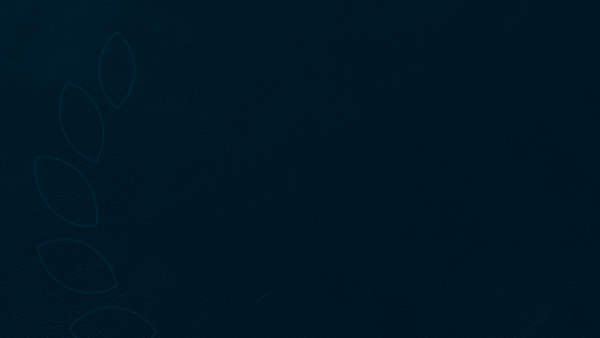 BVA is recognized in the Chambers Global 2026